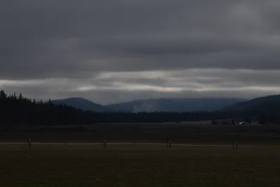 DSC_5865 (Large).JPG